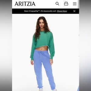 Aritzia TNA sweatpants